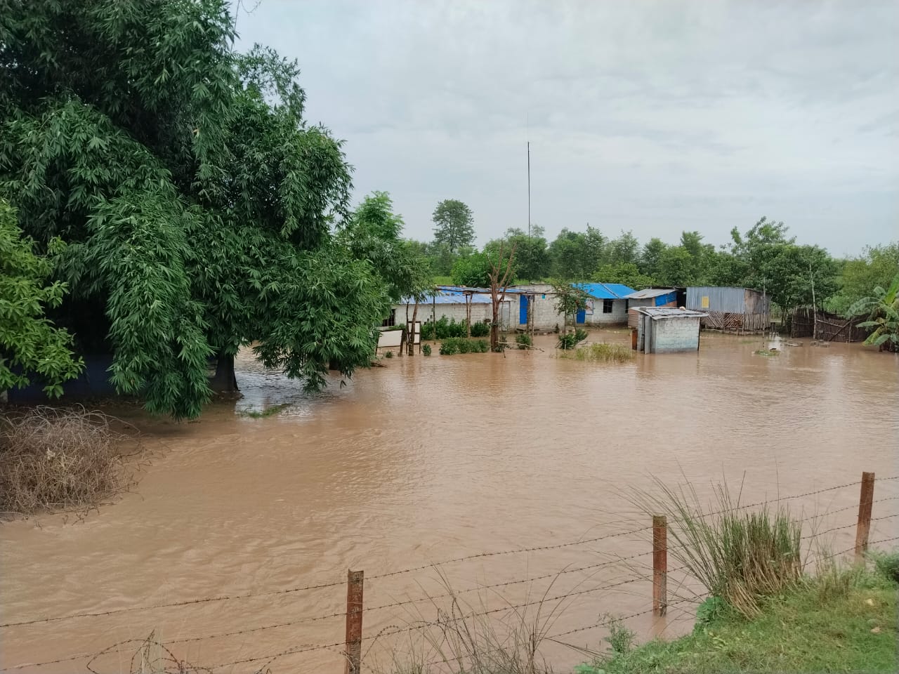 दोधाराचाँदनीसहित कञ्चनपुरका विभिन्न स्थान डुबानमा, प्रभावितलाई सुरक्षित स्थानमा सारिँदै