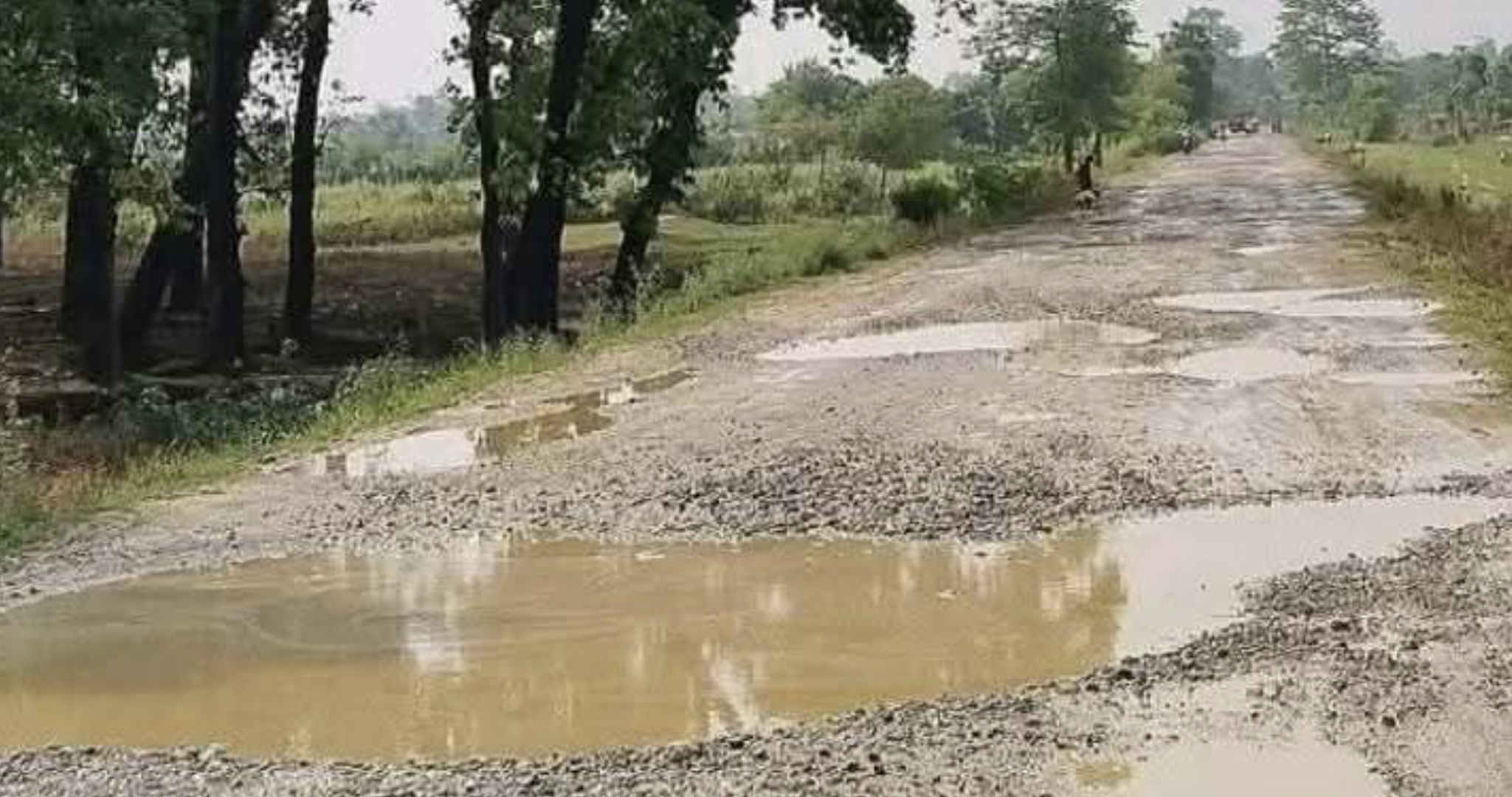 बेलौरी-कलुवापुर सडकखण्डको के छ हालखबर ?
