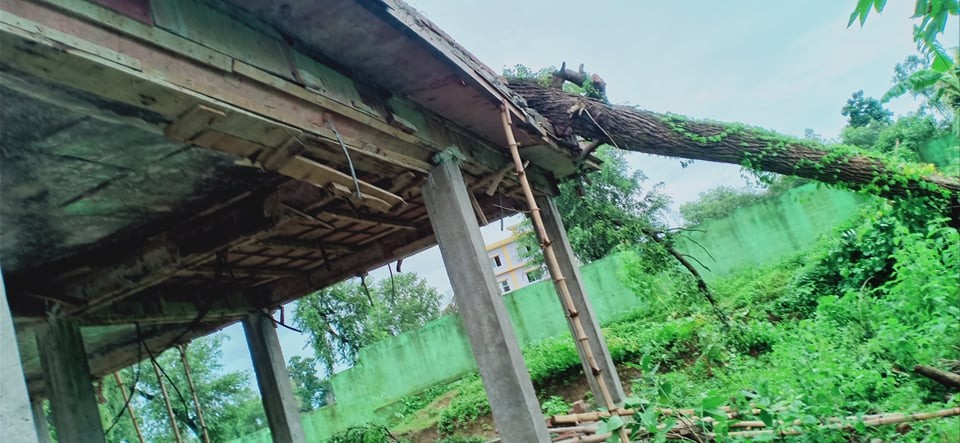 साना किसान महिला कृषि सहकारीको निर्माणाधीन भवनमा रुख ढल्यो