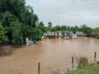 दोधाराचाँदनीसहित कञ्चनपुरका विभिन्न स्थान डुबानमा, प्रभावितलाई सुरक्षित स्थानमा सारिँदै