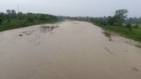 कञ्चनपुरको हनुमाननगरमा भारी वर्षा, चौधर खोलामा बहाव बढ्न सक्ने