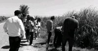 लत्रिएको विद्युत् तार काटिँदा करेन्ट लागेर बेलौरीमा एक महिलाको मृत्यु