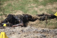 मृतकका आफन्तहरूको आशङ्का : रानालाई हातखुट्टा बाँधेर जलाइएको हुन सक्ने (भिडियो रिपोर्ट)