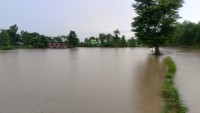 वर्षाले कञ्चनपुरका विभिन्न क्षेत्र डुबानमा, दर्जनौँ घर प्रभावित, उद्धार टोली सक्रिय