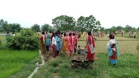 जलवायु परिवर्तनको चुनौतीबीच आत्मनिर्भरताको अठोट : कञ्चनपुरमा धान दिवसले जगायो नयाँ आशा