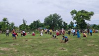 मछेली नदीको कटान रोक्न खल्लागोठमा ५ हजार ७ सय बिरुवा रोपियो