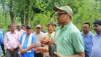 🌱 श्रीखण्डको बिरुवा रोप्ने तरिका (भिडियो सहित)