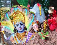 हरिशयनी एकादशी र तुलसी