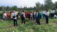 लालझाडीमा सञ्चालित जीविकोपार्जन तथा उत्थानशीलतामूलक गतिविधिहरूको स्थलगत अनुगमन