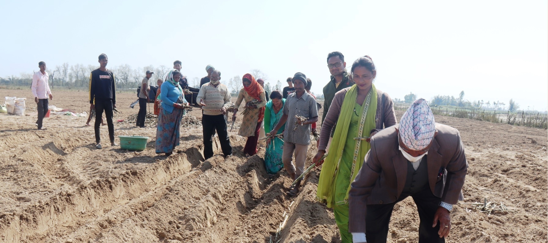 नदी तटीय क्षेत्रमा जीविकोपार्जन सुधारका लागि उखु खेती प्रवर्द्धन कार्यक्रम