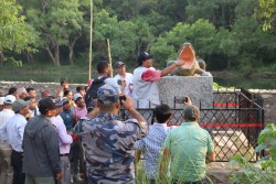 पुनर्वास : प्यारातालमा गोहीको मूर्ति अनावरण; दीपेन्द्र बस्नेत नेतृत्वको चौतर्फी प्रशंसा