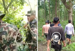 चान्देवको जंगलमा हात्तीको बथान; जंगलको बाटोमा एक जना घाइते