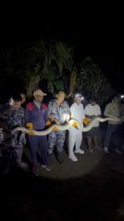 पुनर्वासमा १६ फिट लामो अजिङ्गर फेला