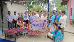 बेलौरी : चप्पल उत्पादन तालिमले महिलामा आत्मनिर्भरताको आशा; स्थानीय रोजगारीको नयाँ सम्भावना