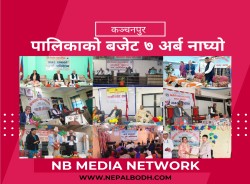 कञ्चनपुरका ९ वटै पालिकाको बजेट ७ अर्ब नाघ्यो; हेर्नुस्, कसको कति ?