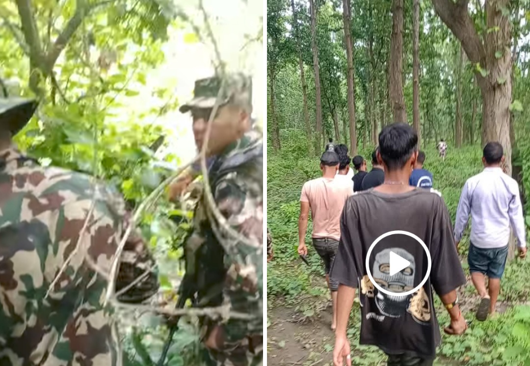चान्देवको जंगलमा हात्तीको बथान; जंगलको बाटोमा एक जना घाइते
