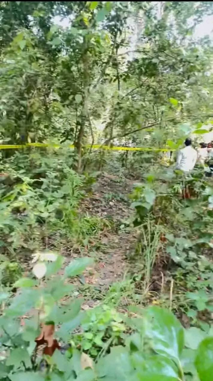 बेलौरीमा जङ्गली हात्तीको आक्रमणबाट एक वृद्धको मृत्यु