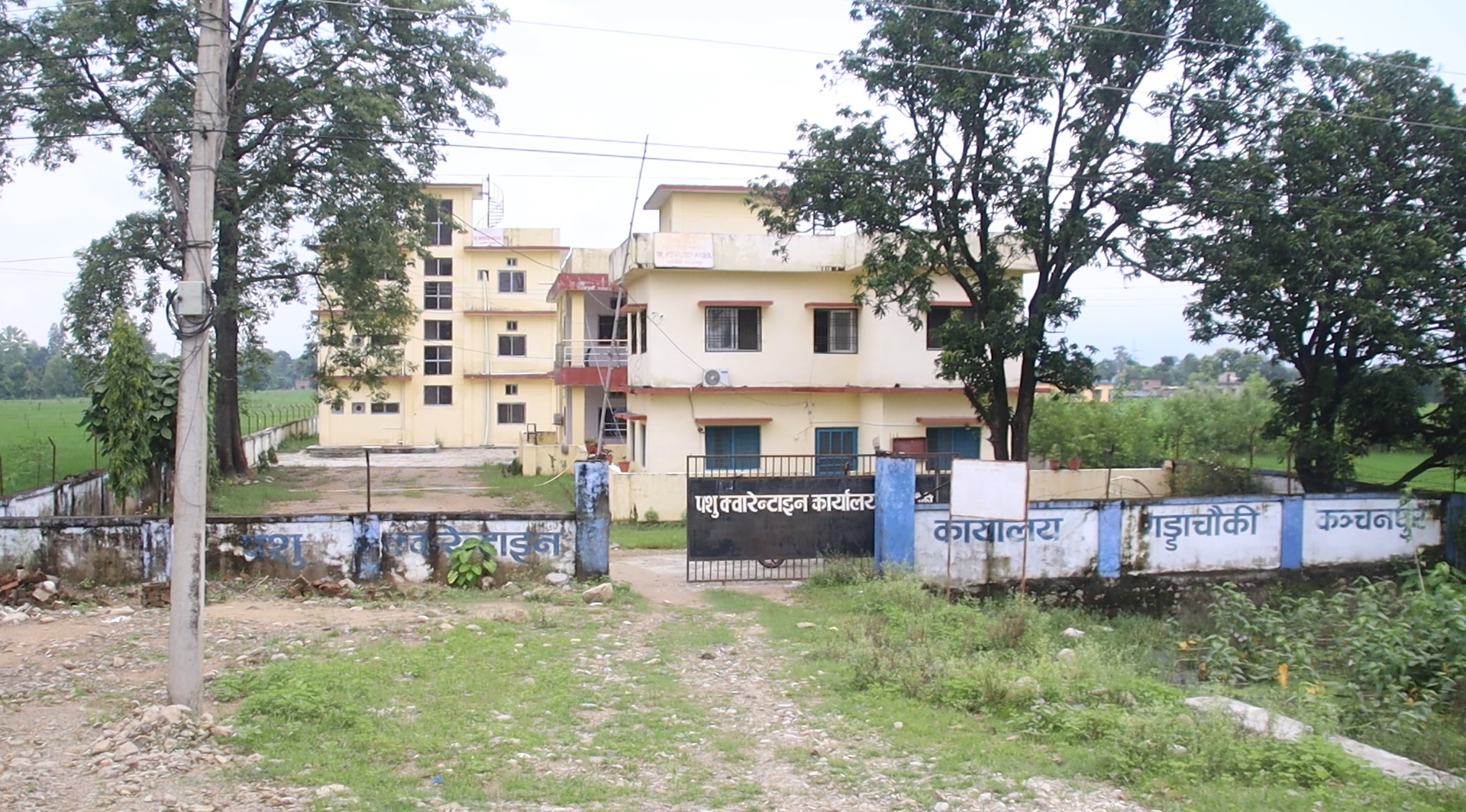 पशु क्वारेनटाइन कार्यालयहरूको सेवा प्रभावित