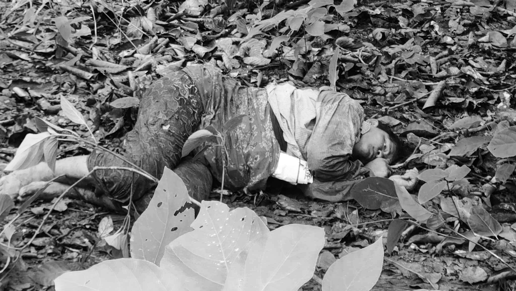 कञ्चनपुरमा गैँडाको आक्रमणबाट एक जना महिलाको मृत्यु