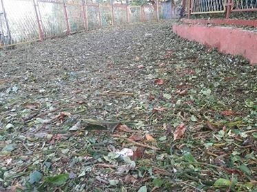 डोटीमा असिना पानी र हावाहुरीले पुर्यायो ठूलो क्षति