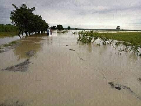 कञ्चनपुरका अधिकांश भूभाग डुवानमा