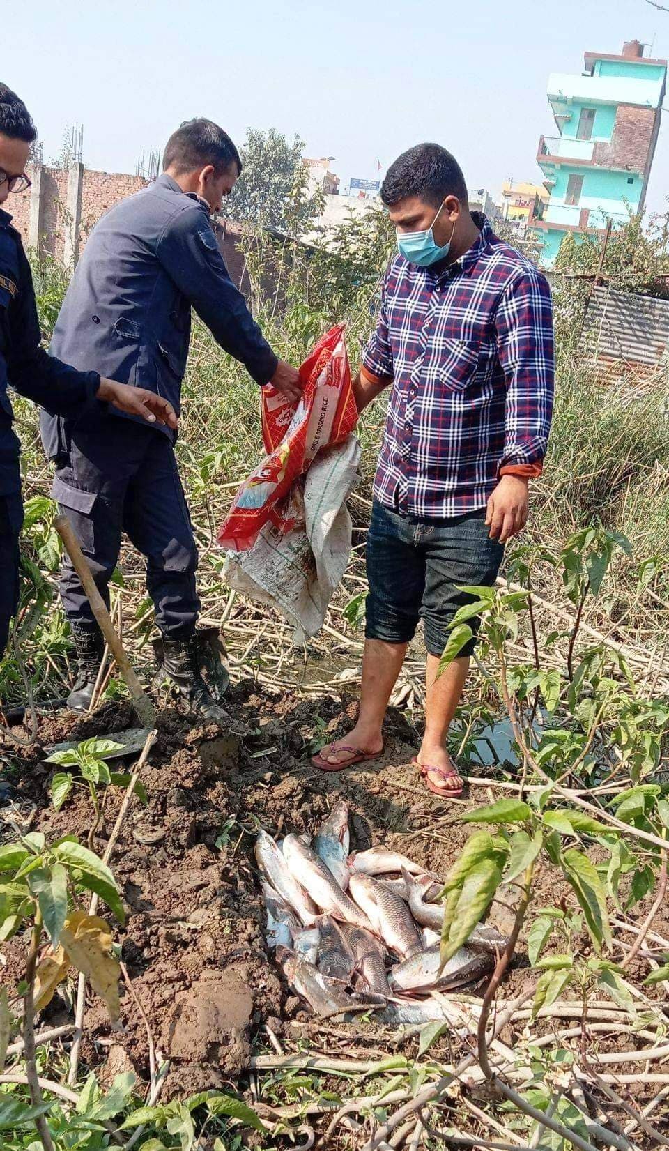 भन्सार छलि गरी भारतबाट ल्याउदै गरेको ८० किलो माछा प्रहरीद्वारा बरामद