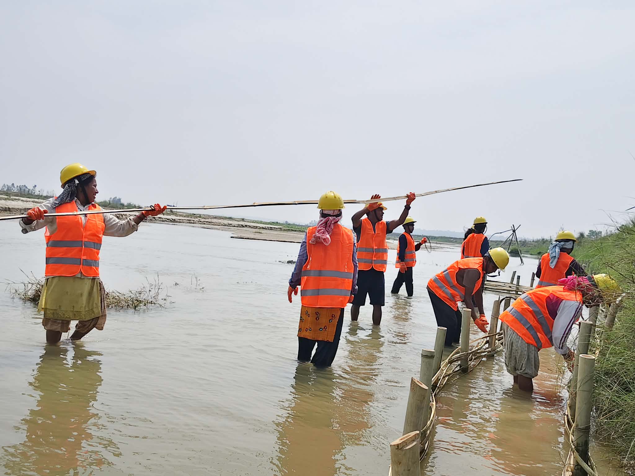नदी कटान रोक्न कञ्चनपुर र कैलालीका तीन पालिकामा जैविक तटबन्ध निर्माण सुरु