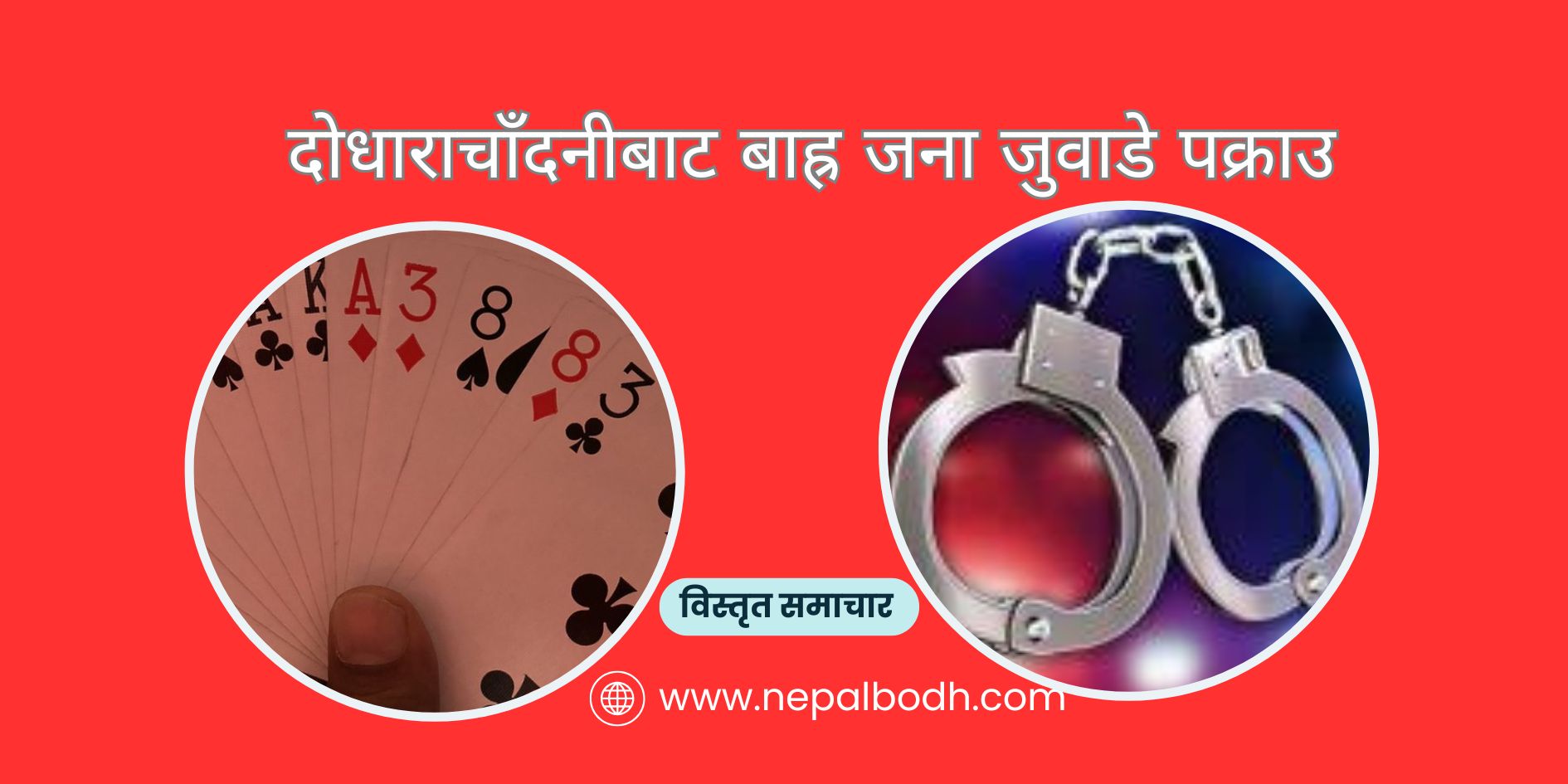 रोकिएन दोधाराचाँदनीमा जुवातास, थप बाह्र जना जुवाडे पक्राउ