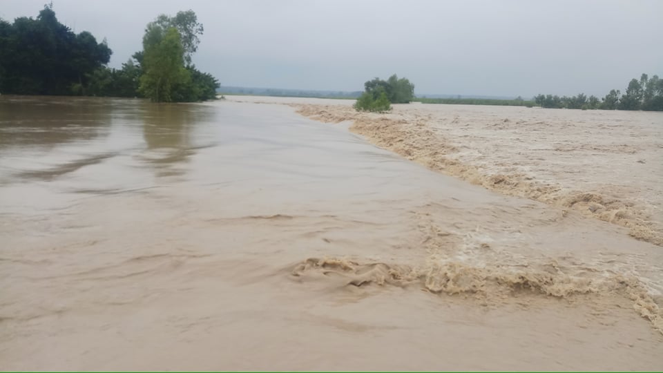 अकल्पनीय बाढीले कञ्चनपुरको दक्षिणी क्षेत्र समेत डुबानमा