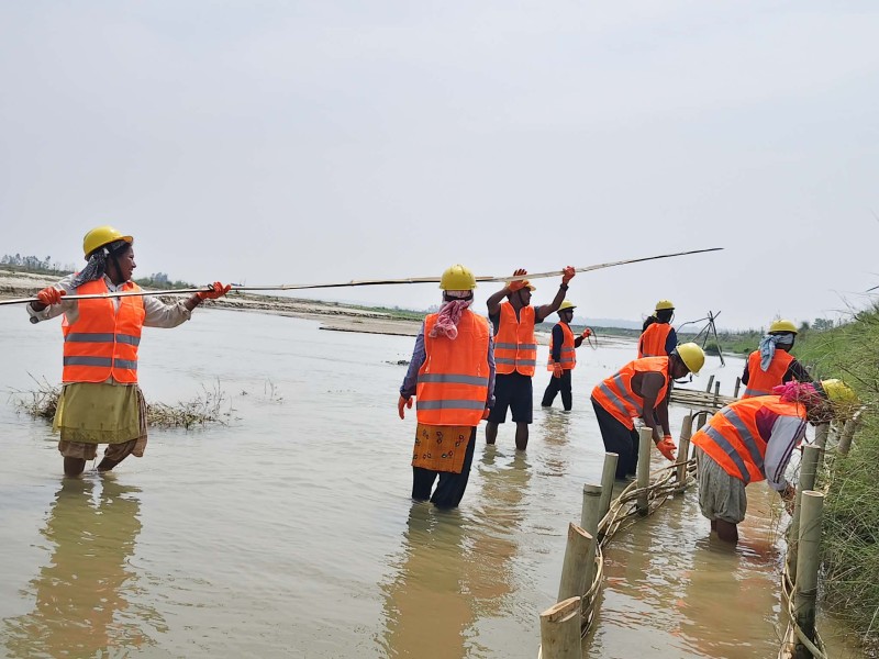 नदी कटान रोक्न कञ्चनपुर र कैलालीका तीन पालिकामा जैविक तटबन्ध निर्माण सुरु