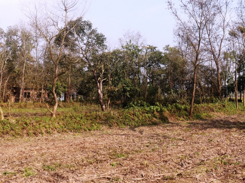 शिवनगर खानेपानी ट्याङ्की निर्माणमा विवाद