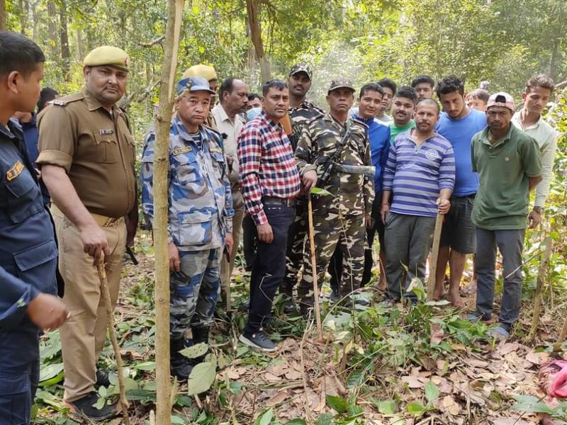 बाघको आक्रमणबाट एक जना महिलाको मृत्यु