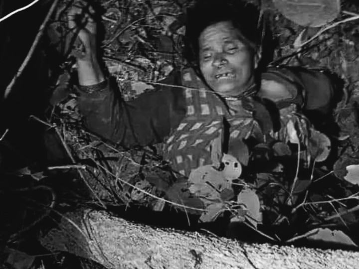 कञ्चनपुरमा जङ्गली हात्तीको आक्रमणबाट एक वृद्धाको मृत्यु