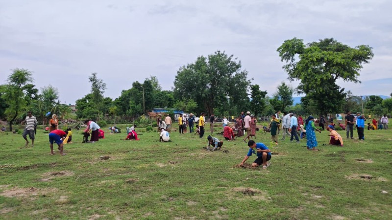 मछेली नदीको कटान रोक्न खल्लागोठमा ५ हजार ७ सय बिरुवा रोपियो