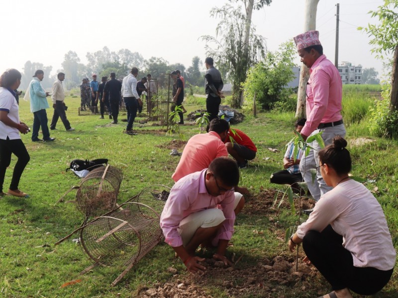 विश्व वातावरण दिवस : बेलौरीमा वृक्षारोपण