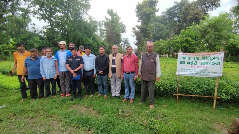 पुनर्वासमा निःशुल्क बिरुवा वितरण