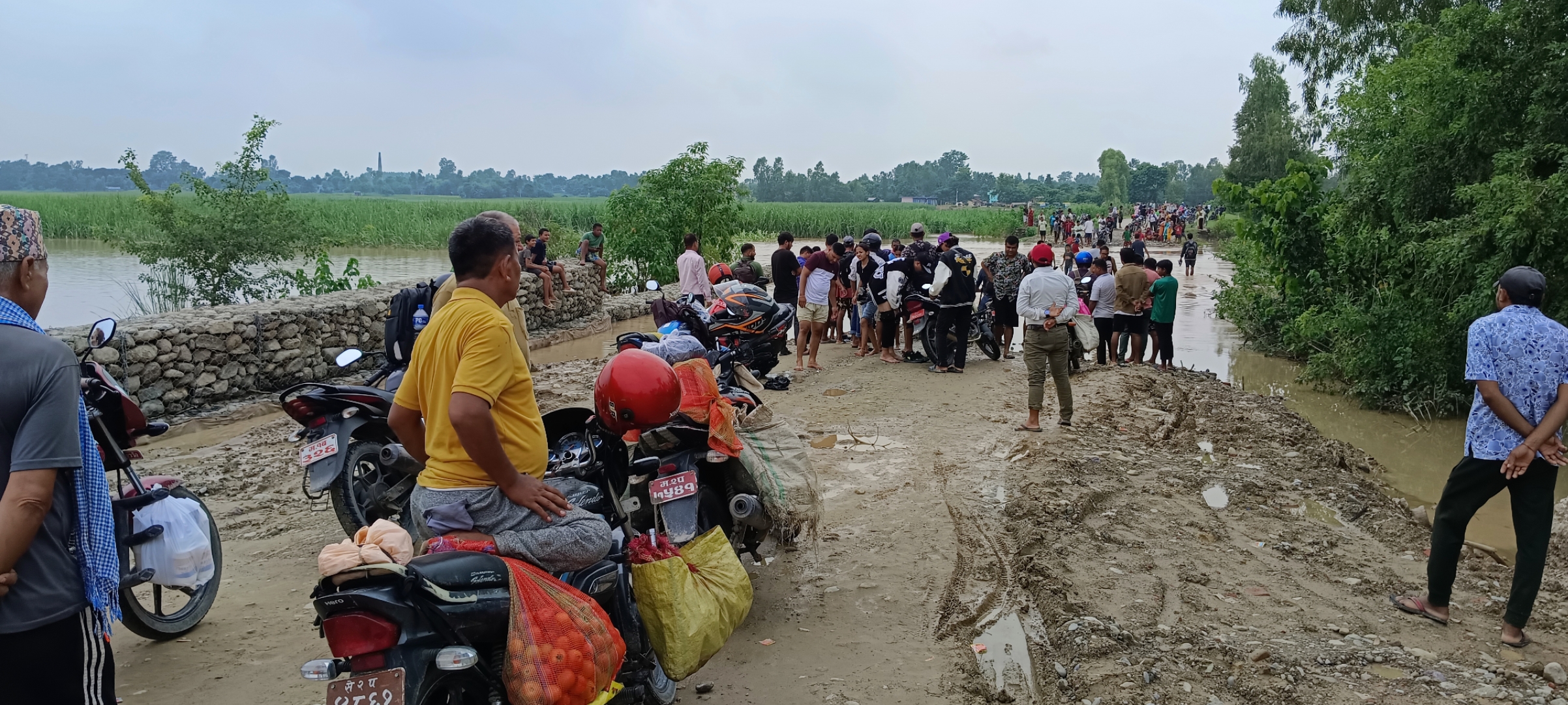 यस्तो छ कञ्चनपुरमा वर्षाको प्रभाव